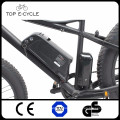 TOP Bafang 8FUN BBS02 48V 750W mid drive motor Fat Tire electric mountain bicycle / electric bike in China